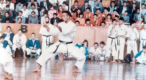 Campionato europeo, oro nel kata a squadre. Istanbul, Turchia, 1985