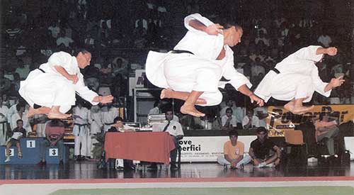Campionato italiano, oro nel kata a squadre. Bologna, 1994