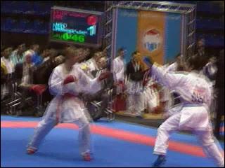 Dutch Open 2011 kumite