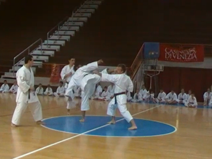Bunkai del kata Bassai Dai