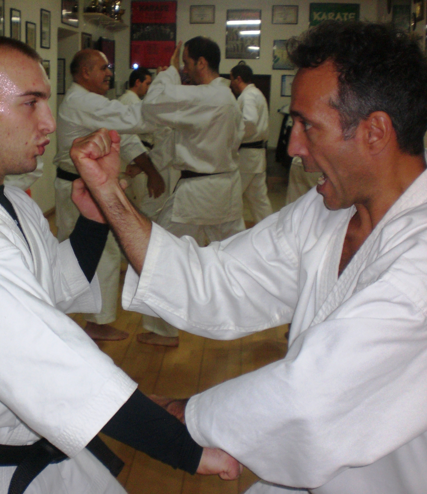 Bunkai project